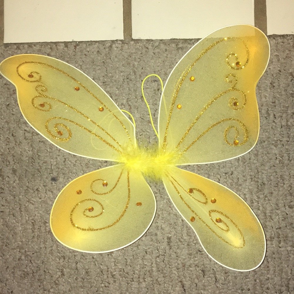 Butterfly wings